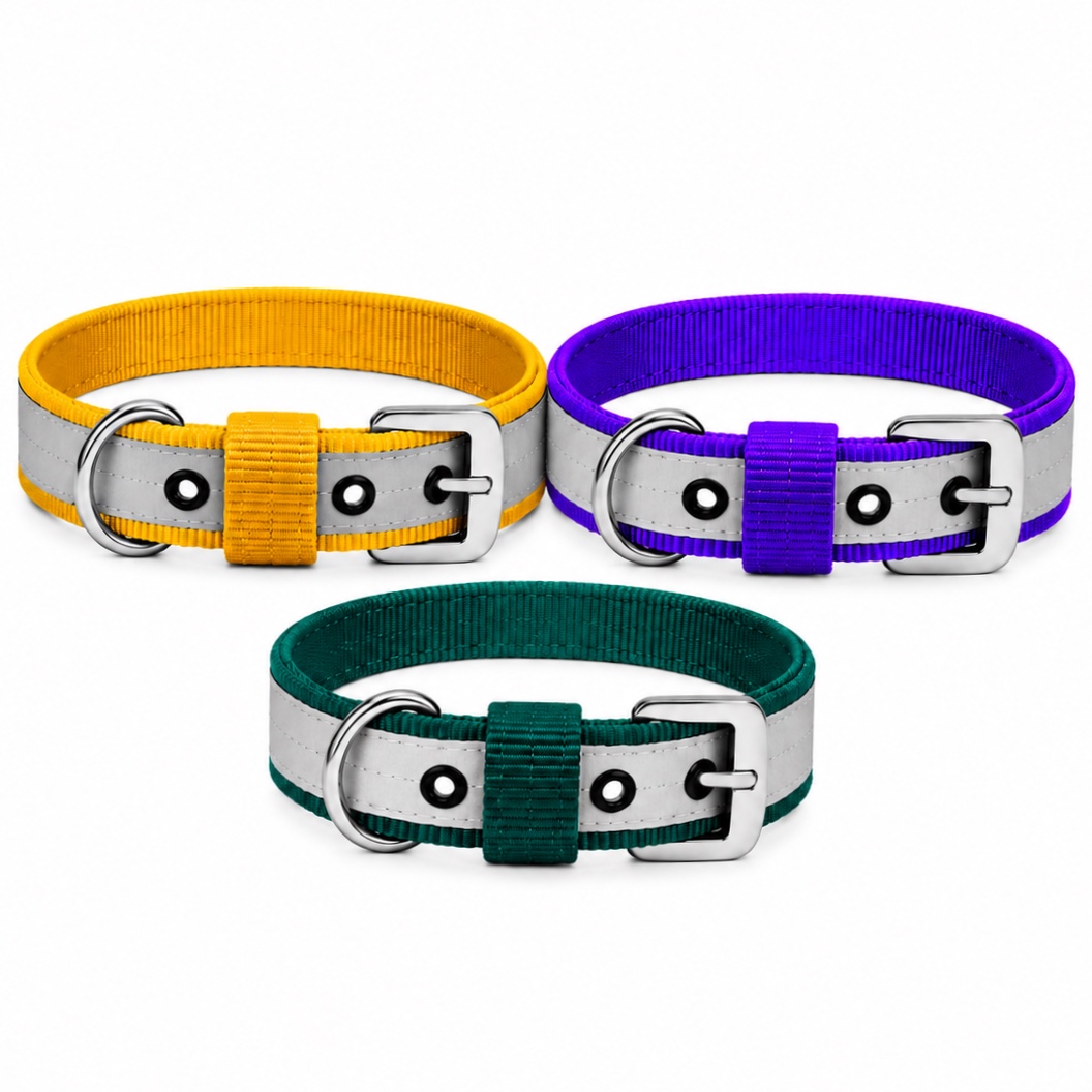 30mm Reflective Nylon Dog Collar – Yellow, Purple & Dark Green